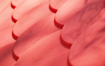 Hetton plastic roof costs